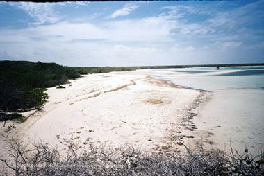 Die Strände auf Cayo Coco,_UW 06_18_B720